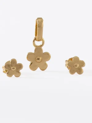 C Conjunto Golden Flower