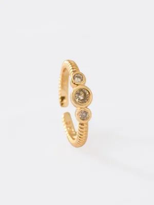 Anillo Royalty Ajustable