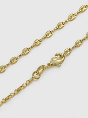 C Gucci Delgada 45 Cms