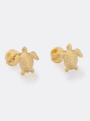 A Turtle